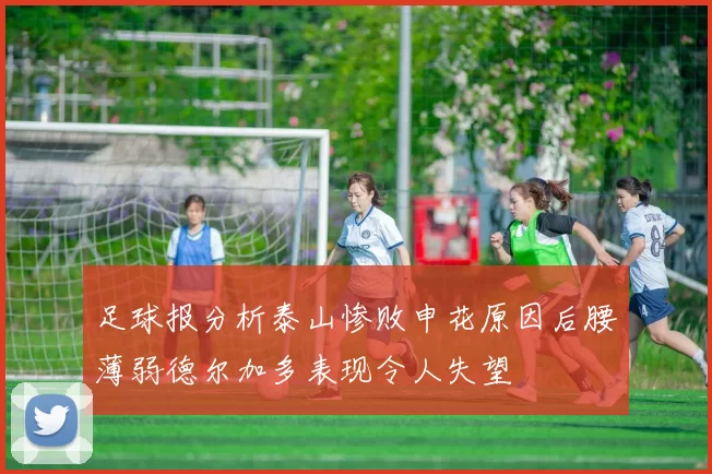 足球报分析泰山惨败申花原因后腰薄弱德尔加多表现令人失望