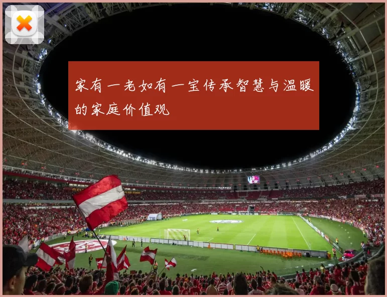 家有一老如有一宝传承智慧与温暖的家庭价值观